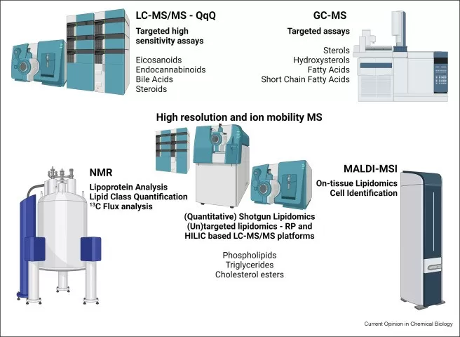State-of-the-art lipidomics technologies and assays.